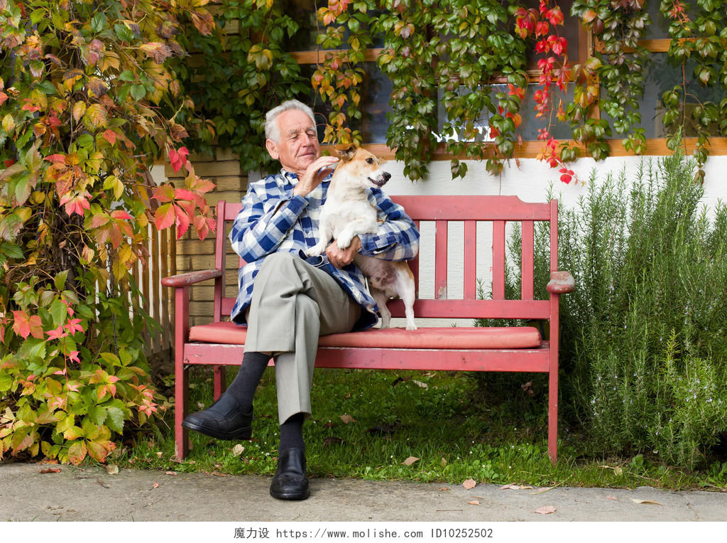 老人在花园的长椅上坐着和狗狗玩